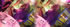 Maxi Promotions: Image